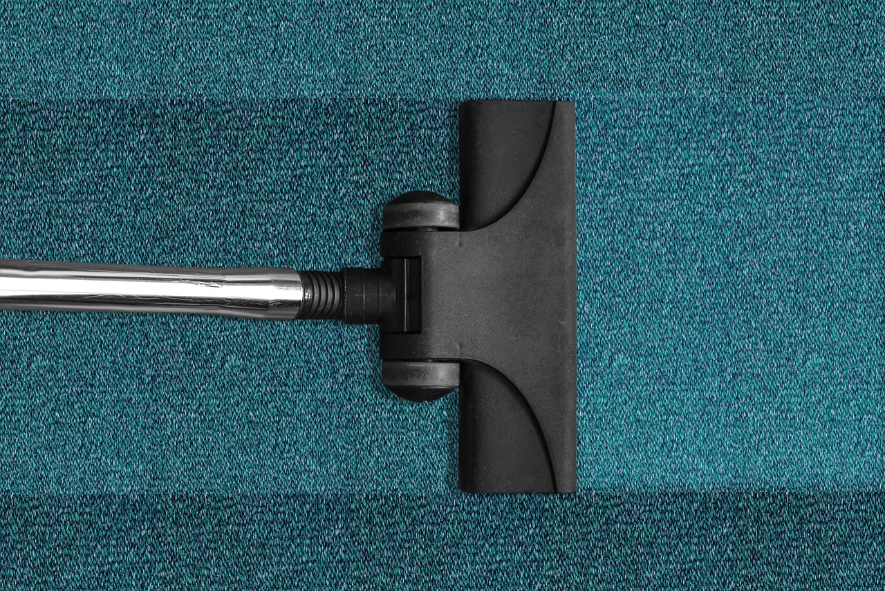 vacuum cleaner,  vacuuming,  cleaning,  cleanup,  carpet