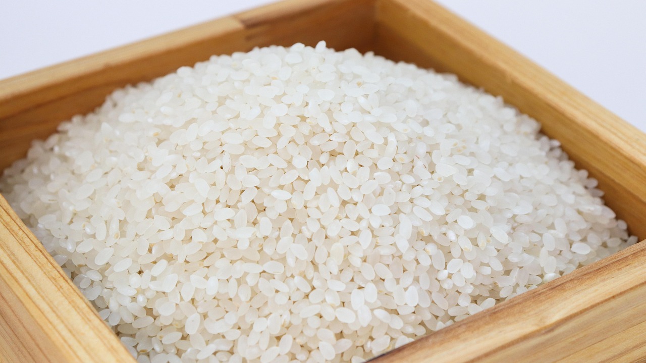 rice,  white rice,  korea,  food,  harvesting