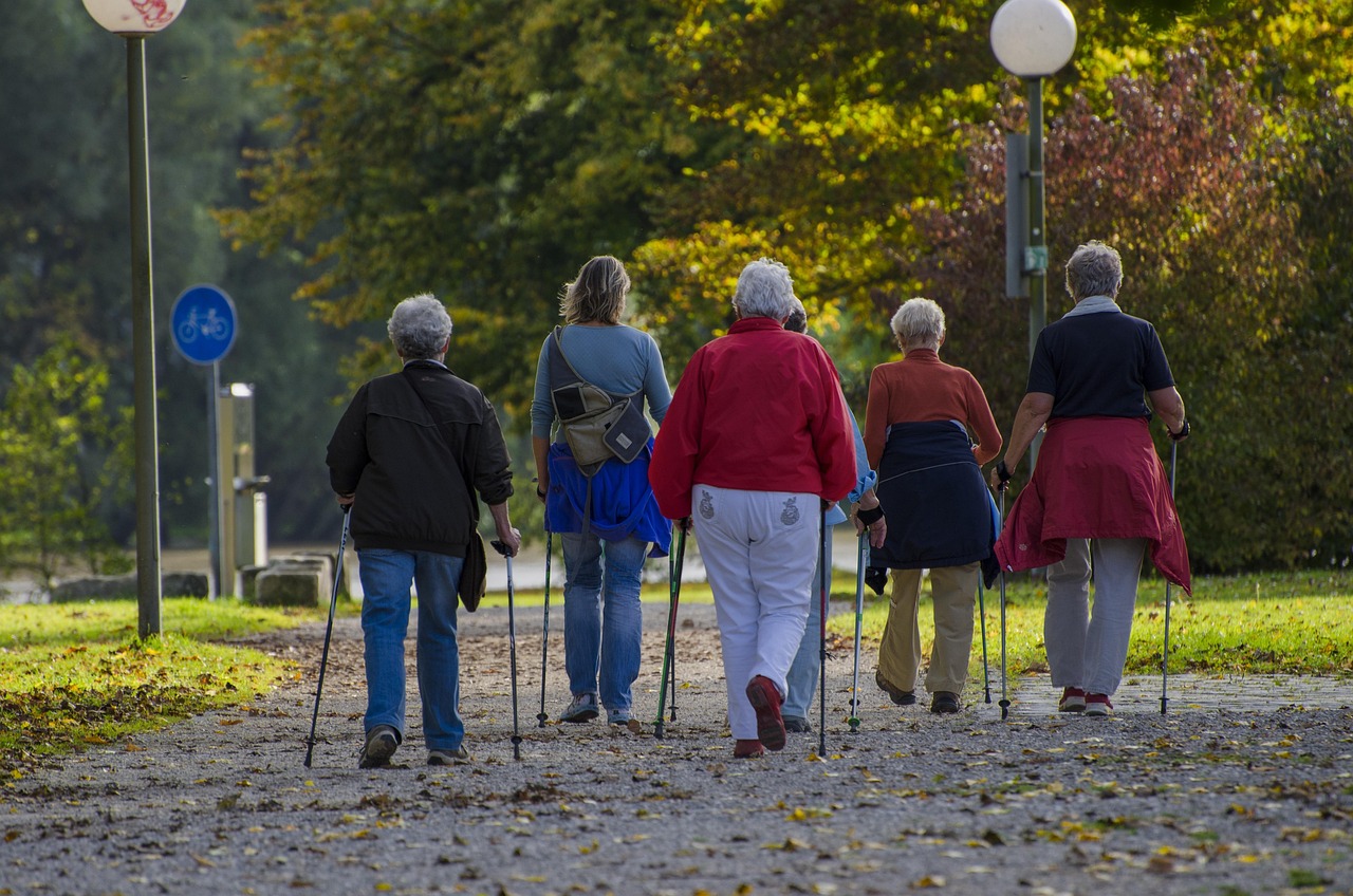 nordic walking, stroller, walk, together, people